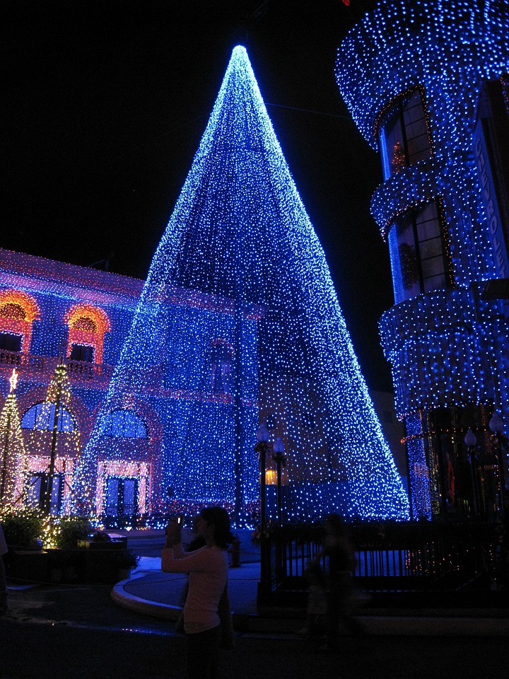 Vacation 2007-12 - Beaches Disney Hotels 0976.jpg - On the 2007-08 Florida vacation we visited beaches from Fort Myers to Sanibel Island sampling local food along the way. Green water and white sugar beaches! Arriving at Disney World we visited several of the theme resorts.